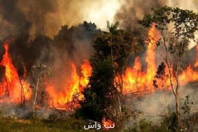 ۱۴ هزار مورد آتش سوزی در جنگل های کشور طی یک دهه!