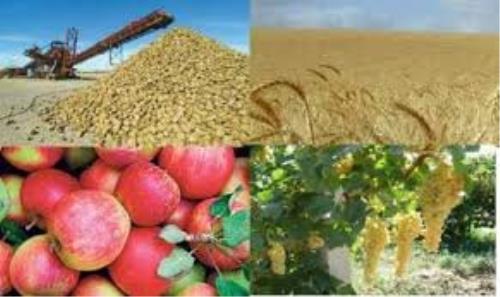 تکلیف مجلس به وزارت کشاورزی برای افزایش تولید محصولات اساسی