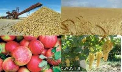 تکلیف مجلس به وزارت کشاورزی برای افزایش تولید محصولات اساسی