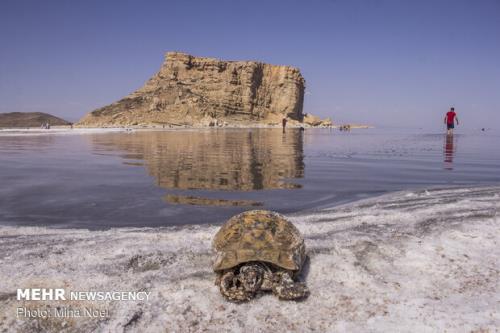 احیای دریاچه ارومیه مطالبه اصلی مردم آذربایجان شرقی از رئیس جمهور