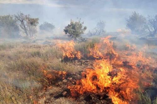 37 هکتار از مراتع استان اصفهان در آتش سوخت