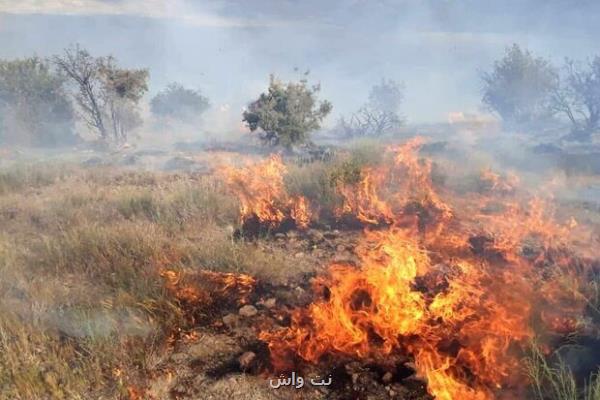 37 هکتار از مراتع استان اصفهان در آتش سوخت