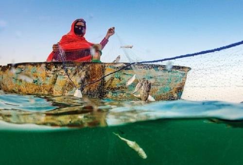 زنان نقش ویژه ای در صیانت از تالاب ها دارند