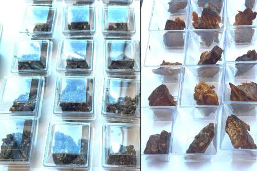 انتشار لیست غذاهای مأموریت آرتمیس 2