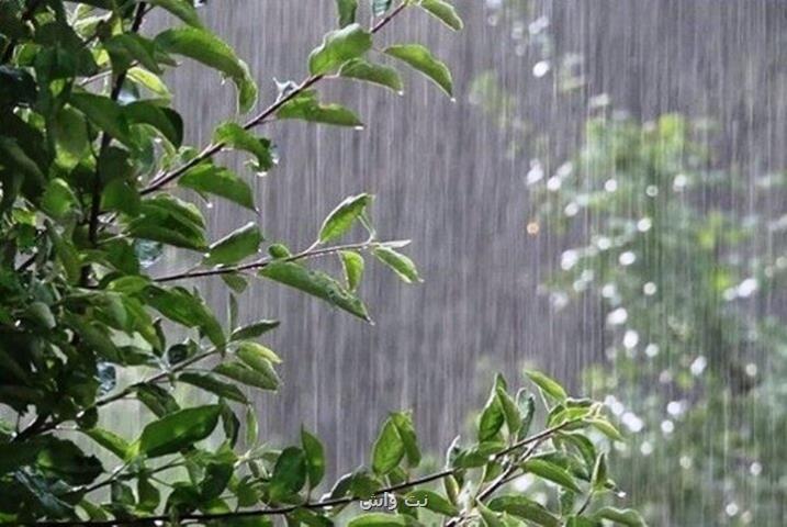 بارش باران در ۳ استان طی روز جاری