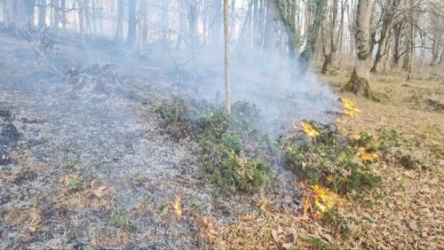 پیشگیری از وقوع آتشسوزی در اراضی جنگلی سرخه حصار و خجیر