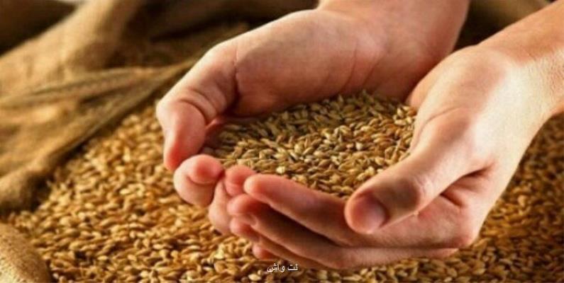 خبر مهم از جلسه تعیین قیمت گندم