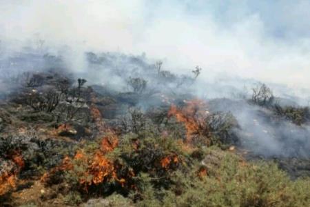 بالگرد ویژه آتش سوزی عازم جنگل های ارسباران شد