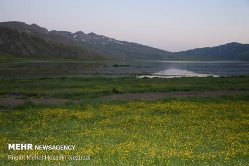 بار آلودگی دریاچه نئور كاهش پیدا می كند