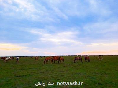 تعرضات به پارك ملی بوجاق از طرف دادستانی دنبال می شود