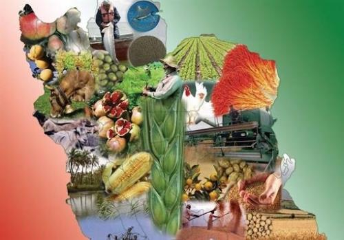 رویدادی نوآورانه برای پاسخ به نیازهای امنیت غذایی کشور