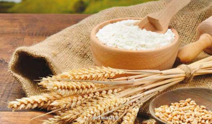 برخی در کوشش برای دو نرخی کردن سبوس و ایجاد رانت هستند