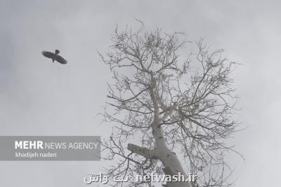 کیفیت هوای اصفهان قابل قبول است