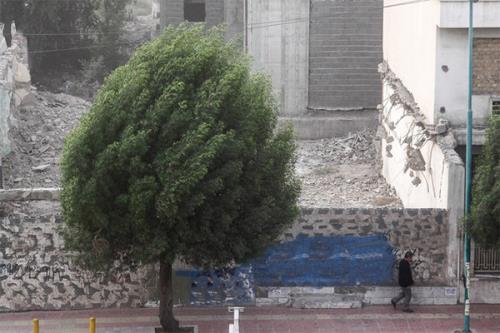 وزش باد شدید در تهران در راهست