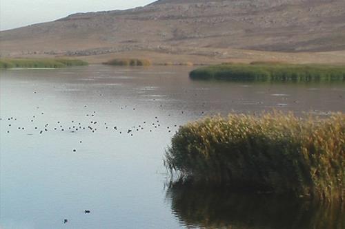 ثبت جهانی تالاب جازموریان