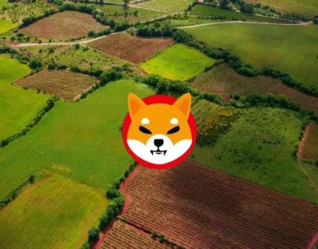 آشنایی با انواع زمین گوناگون شیبا