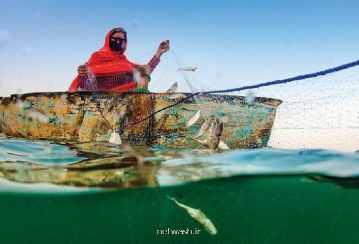 زنان نقش ویژه ای در صیانت از تالاب ها دارند