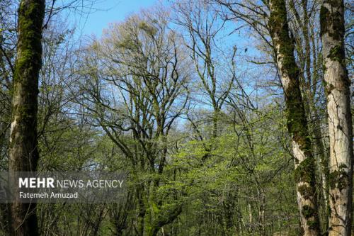 تغییر نام منطقه حفاظت شده دیزمار به شهید جمهور