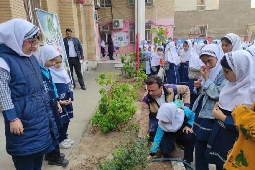 ایجاد ۳۴۰۰ نهالستان در مدارس جلوه دیگری از اجرای سند تحول
