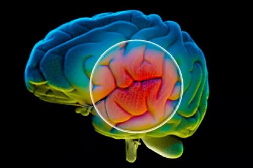 معرفی یک سلاح مخفی در مقابل افسردگی ناشی از افزایش سن