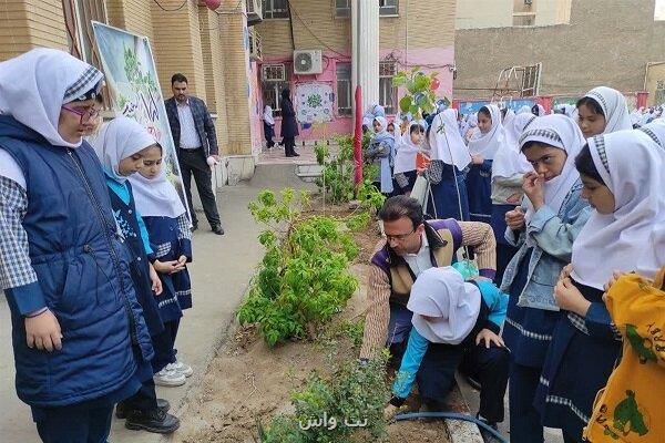 ایجاد ۳۴۰۰ نهالستان در مدارس جلوه دیگری از اجرای سند تحول