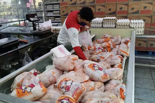 قیمت جدید گوشت مرغ امروز ۳۰ تیر ۱۴۰۵