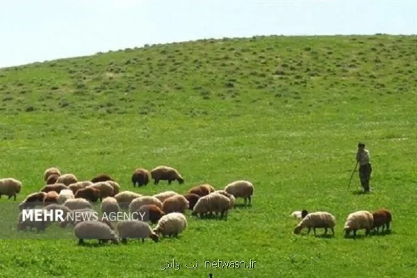 ارزش علوفه مراتع اصفهان به 6 هزار میلیارد تومان می رسد