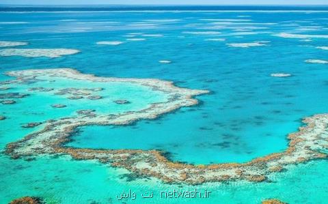 همكاری شیلات با محیط زیست، احیای زیستگاه های تخریب شده مرجانی