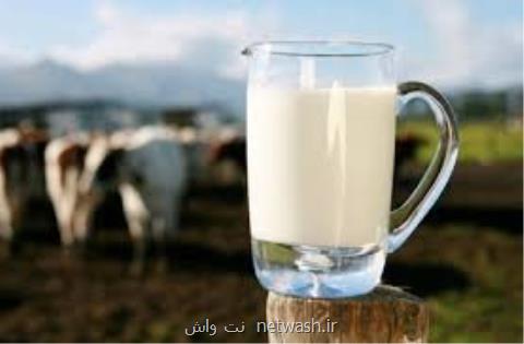 قیمت جدید شیر خام اعلام شد كیلویی ۲۰۰۰ تومان