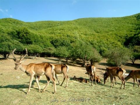 لزوم تقسیم بندی جدید مناطق محیط زیست برمبنای اتحادیه جهانی حفاظت