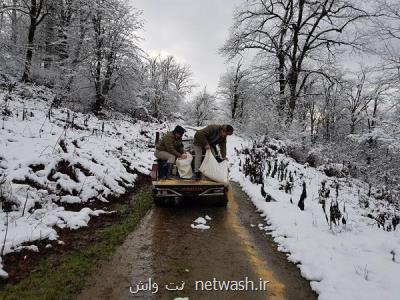 دانه پاشی ۵ هكتار از زیستگاه های پرندگان خلخال