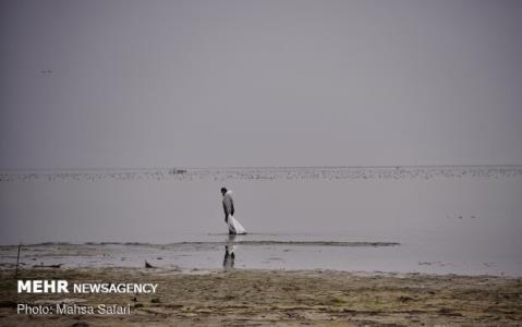 میانكاله مرز ندارد