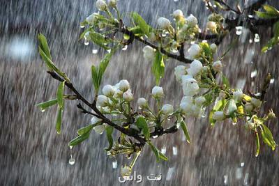 بارش باران در اغلب استان های كشور