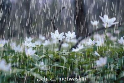 بارش پراكنده باران در بعضی استان ها