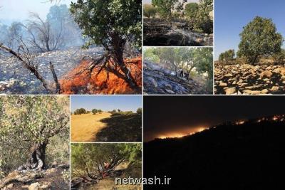 ۲۱۰ هزار هكتار جنگل های استان سمنان در كانون آتش قرار دارند