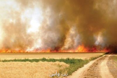سالانه ۳۰ هزار هكتار زمین كشاورزی در شوشتر به آتش كشیده می شود
