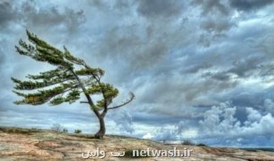 رگبار، رعد و برق و وزش باد شدید پدیده جوی غالب تا اختتام هفته