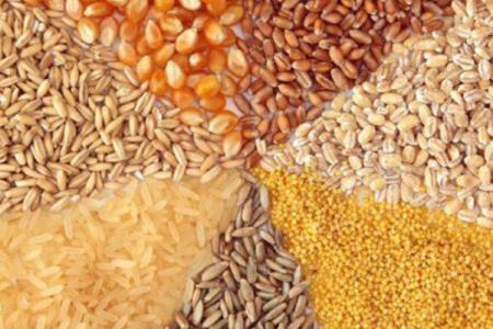 انتقاد اتحادیه واردكنندگان نهاده های دامی از ایجاد انحصار در تامین كالاهای اساسی