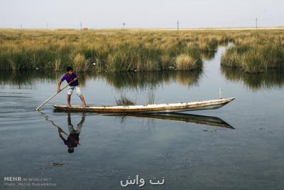 شرایط زیست پرندگان در تالاب شادگان بهبود می یابد